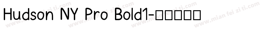 Hudson NY Pro Bold1字体转换